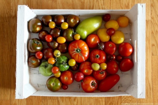 Bruschettaaipomodoriconcremadimozzarella_unavegetarianaincucina_01